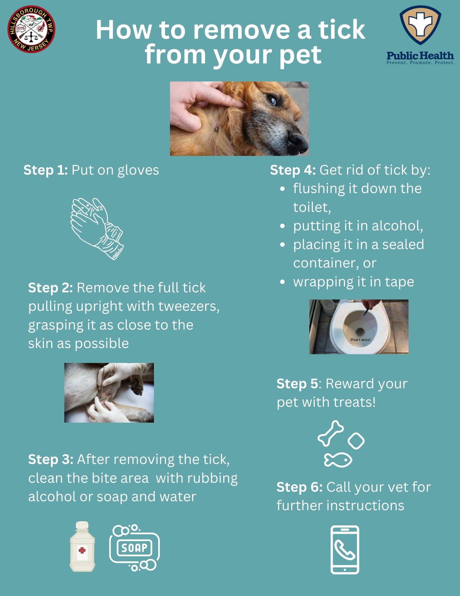 Can A Tick Bite Make A Dog Sick